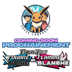 Mini Tin Foudre Noire & Flamme Blanche EV10.5 - Pokemon